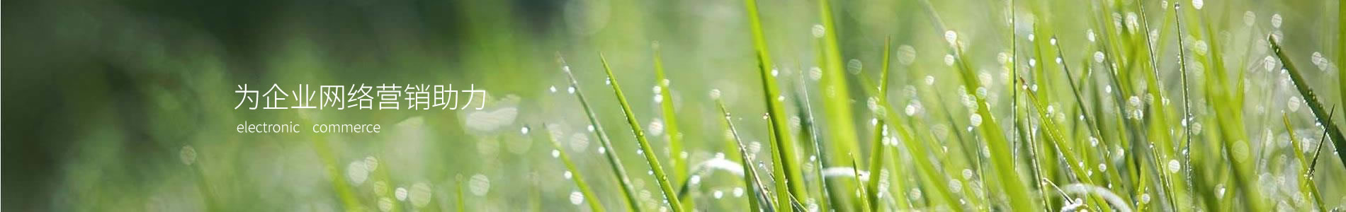 ݰʯ޹˾